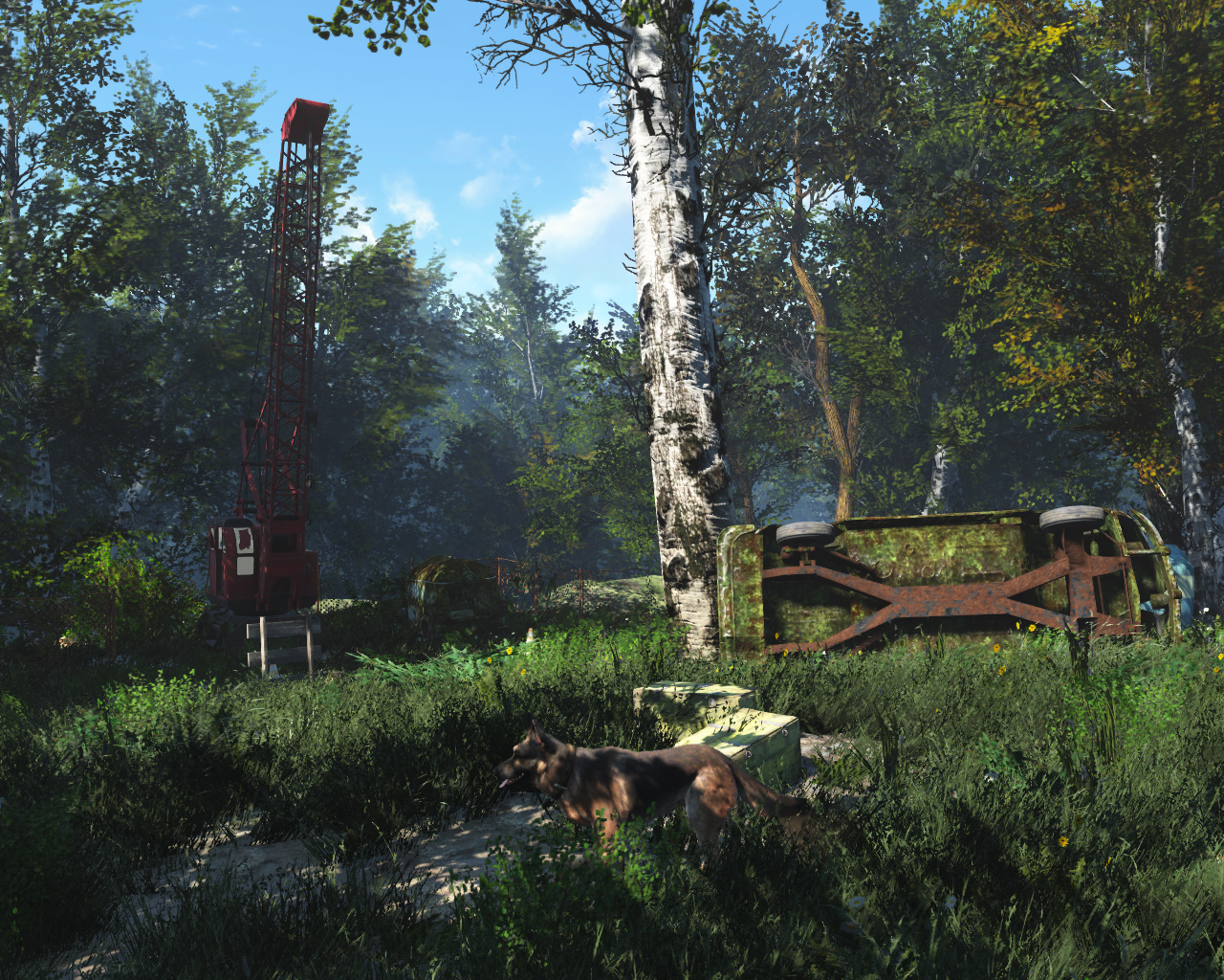 Fallout 4 деревья и трава фото 11